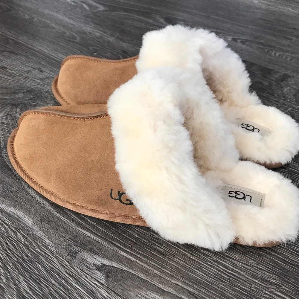 UGG SCUFFETTE ll slippers